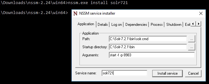 Expected-NSSM-Dialog-Values